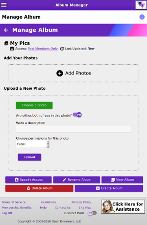 Bisexual Playground Signup
